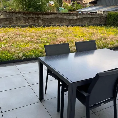 Neu Mont Royal 2 Bis 4 Personen Appartement Verbandsgemeinde Traben-Trarbach
